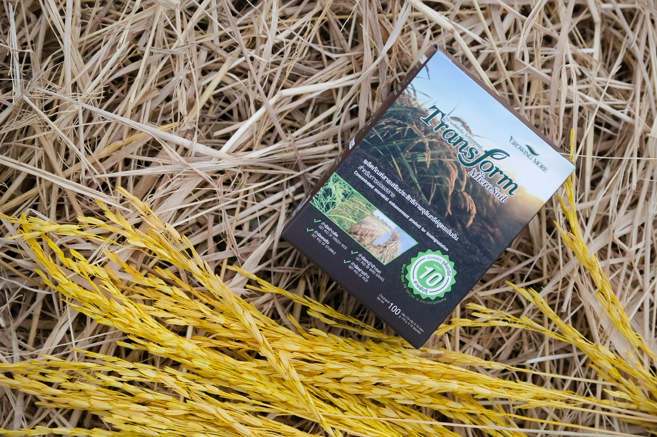 Transform Micro Soil – Microbial-Based Organic Soil Enhancer (10g sachets)