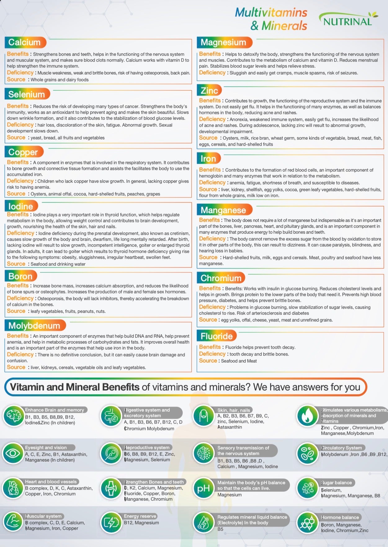 Multivitamins & Minerals with Astaxanthin – Complete Daily Health Support