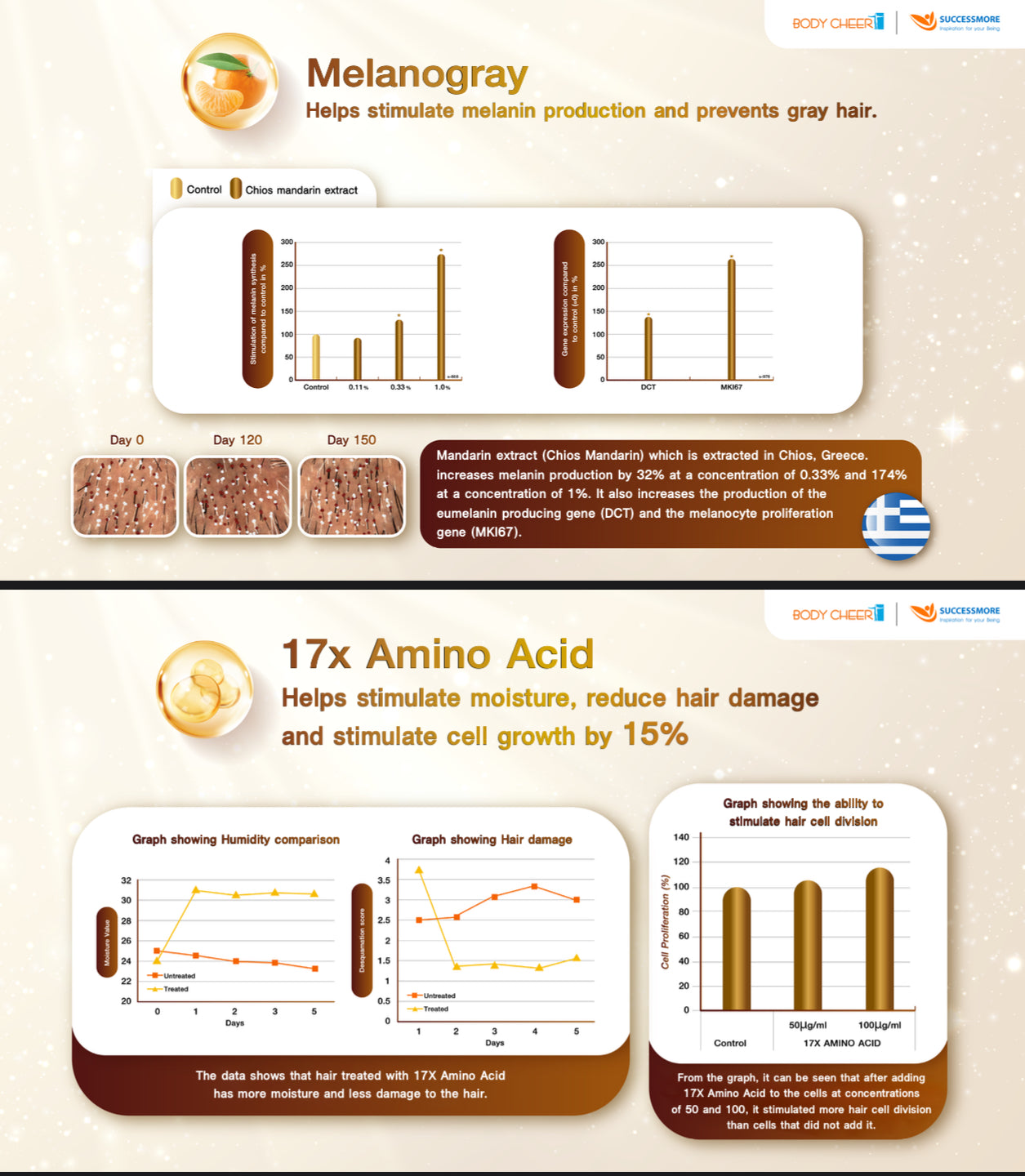 Gray Care Hair Shampoo + Intensive Repair Conditioner